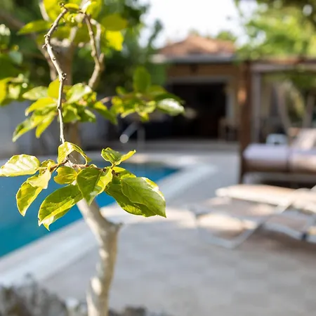 Villa Gyra - Adonis With Private Pool Lefkáda